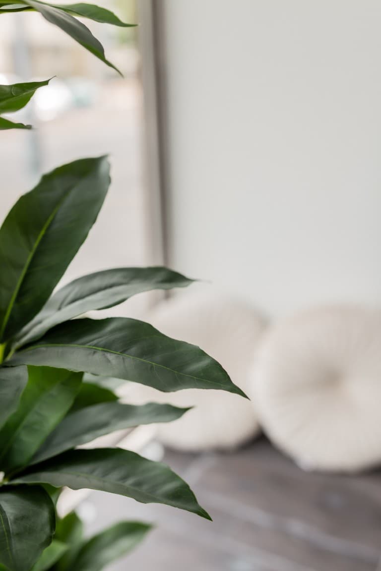 skole pro hemmottelu