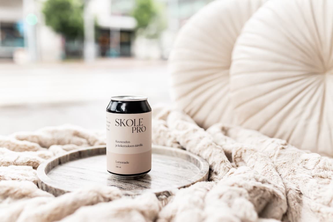 skole pro yrittäjät