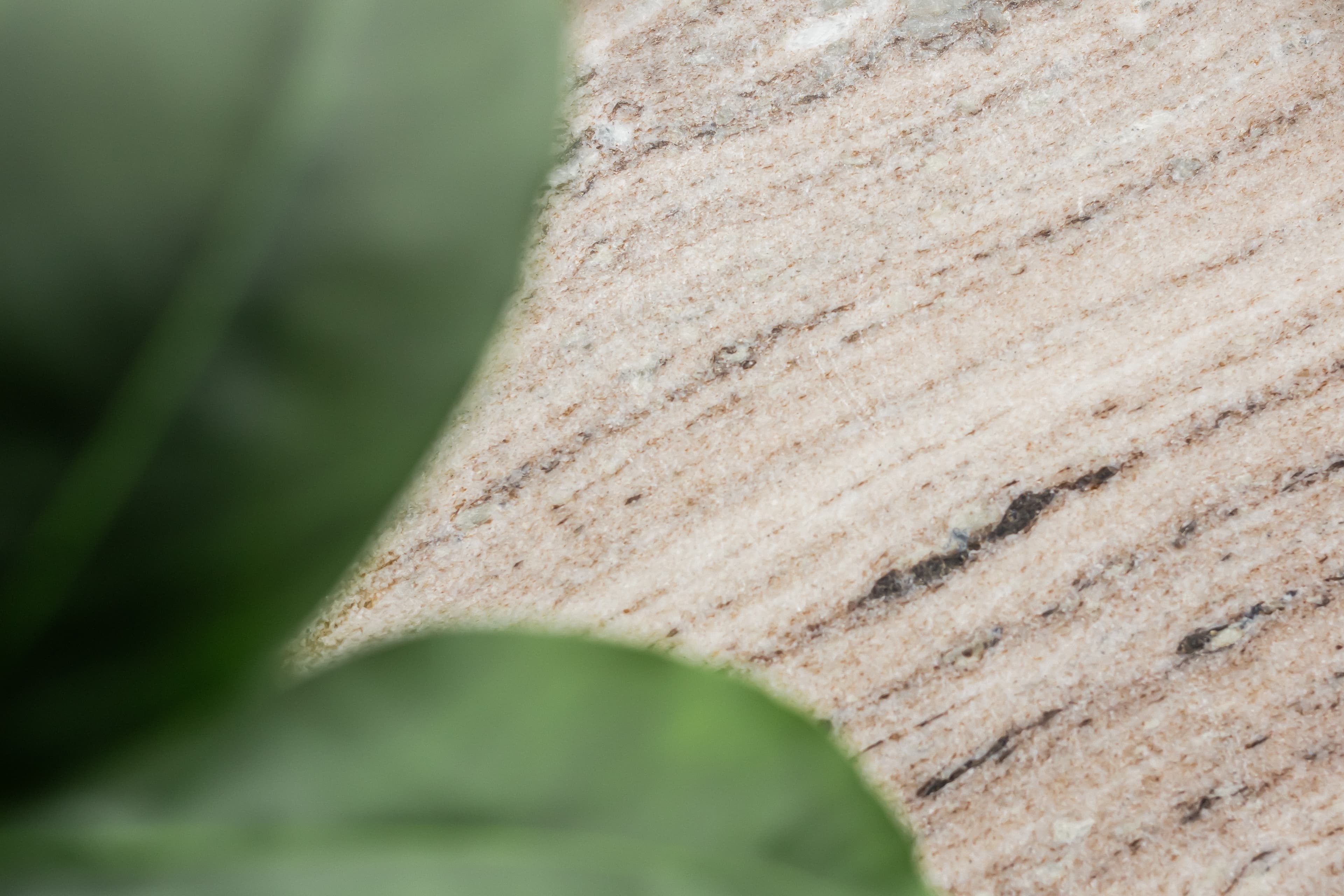 skole pro kasvohoidot