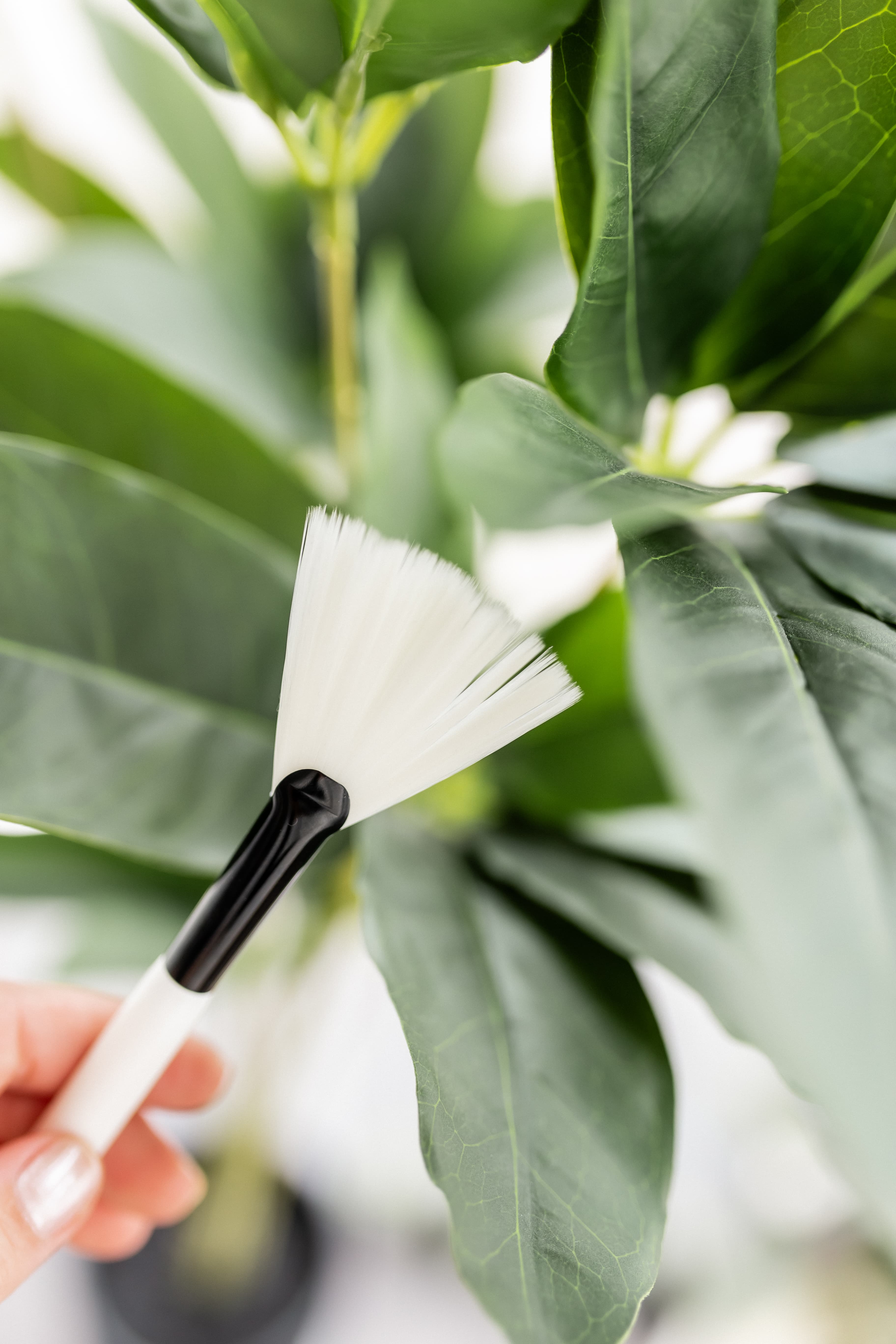 skole pro kasvohoidot